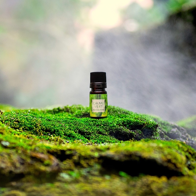 CALME VERT�ʥ������������